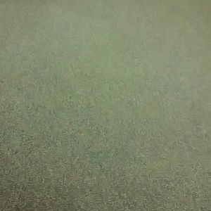 Meet your Posher, Alexia