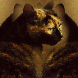 Meet your Posher, Francis k