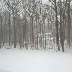 Meet your Posher, Leslie