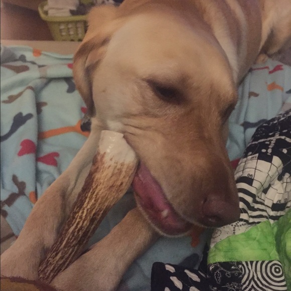 Meet your Posher, Lindsey