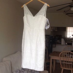 Maggy London Ivory/White Lace Dress
