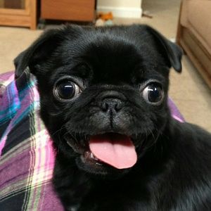 Meet your Posher, Karolyn