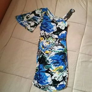 Arden B. Dress