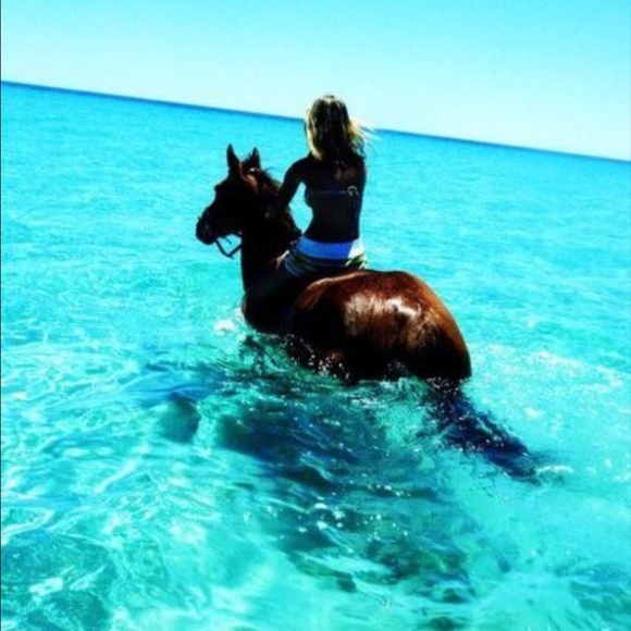 ALOHA from your Posher, SHILOH - Picture 2 of 9