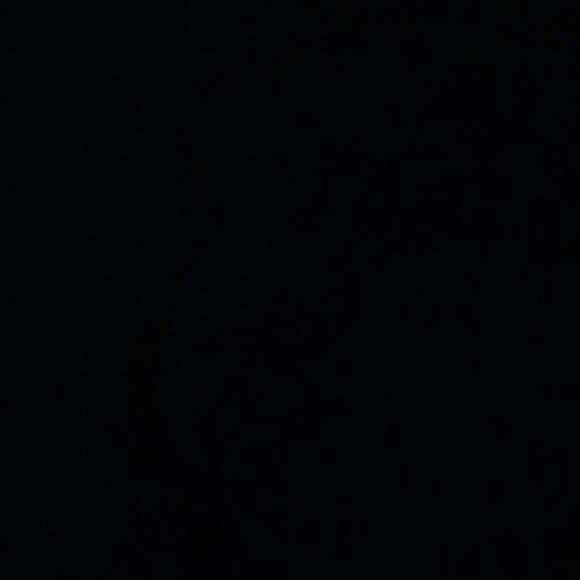 Meet your Posher, Evelyn - Picture 1 of 1