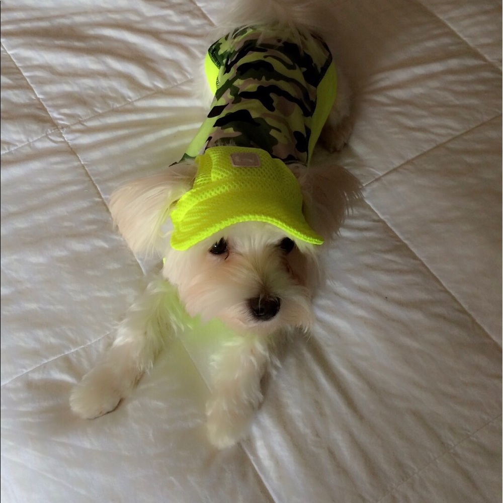 Meet your Posher, Tamika