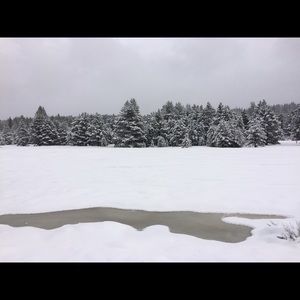 Meet your Posher, Mario