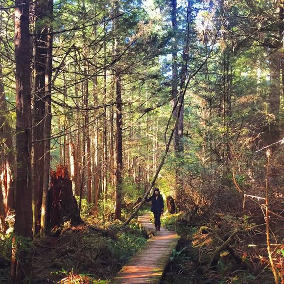 Meet your Posher, Sarah - Picture 1 of 1