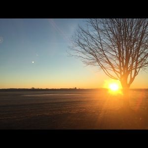 Meet your Posher, Madz