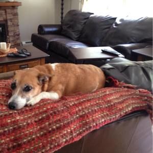 Meet your Posher, Lisa