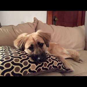 Meet your Posher, Ben