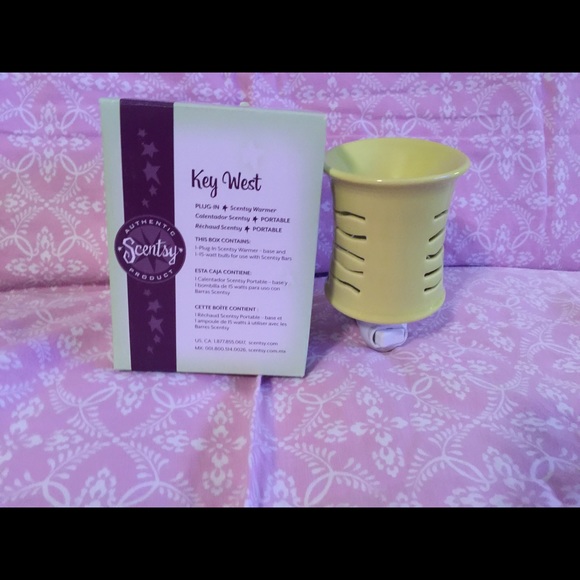 Scentsy plug in warmer