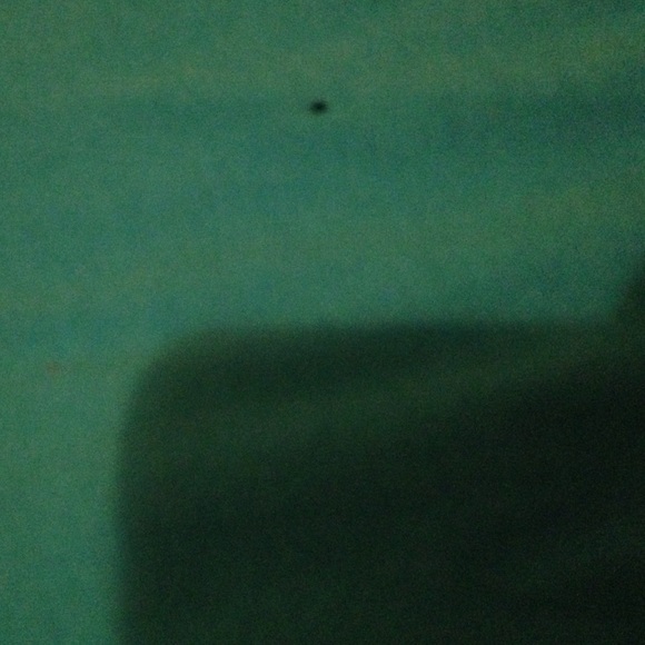 Guy Harvey shirt! - Picture 4 of 4