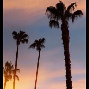 Meet your Posher, Jesse