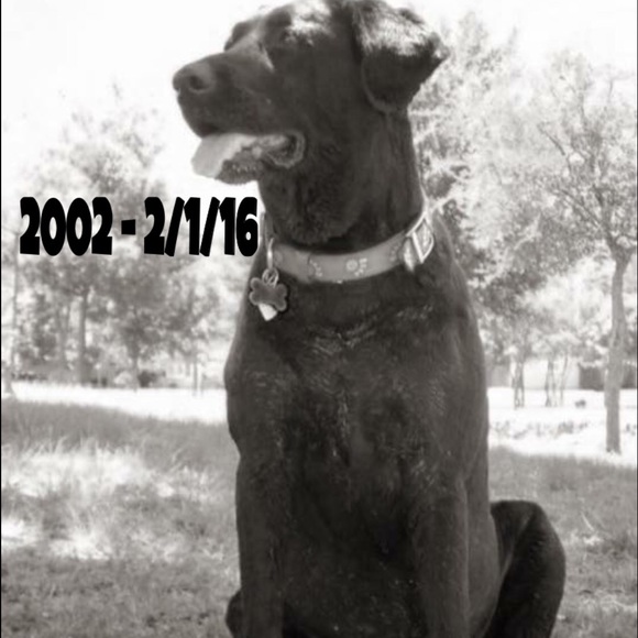 In Loving Memory of China