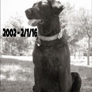 In Loving Memory of China