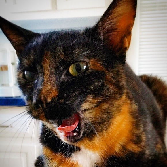 ⚡️Hii!⚡️ - Picture 2 of 2