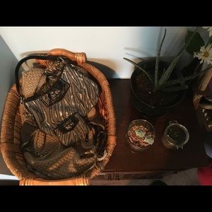 Animal Print Coach Bag & Matching Wallet