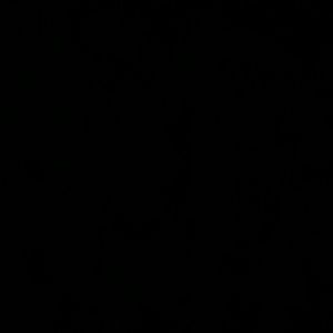 Meet your Posher, Yvonne