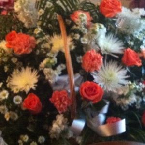 Meet your Posher, Tracye