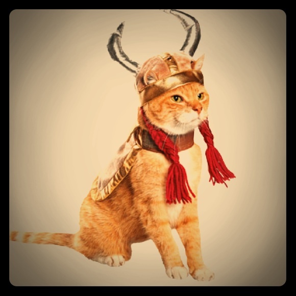 ✨ Kitty Viking Costume ✨