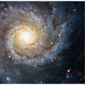 Meet your Posher, Liz