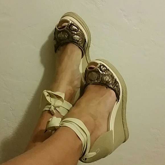 Sweet wedges