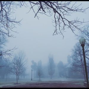 Meet your Posher, Kai