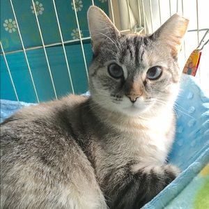 Meet your Posher, Olivia