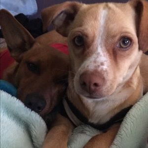 Meet your Posher, Yesenia