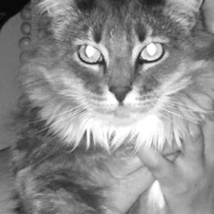 Meet your Posher, Jane