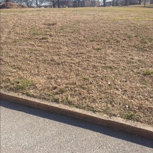 Meet your Posher, Marquis