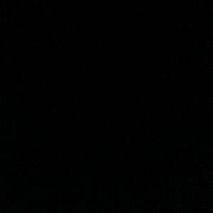 Meet your Posher, Jaylen