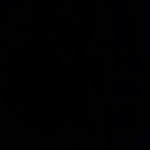 Meet your Posher, Ronald