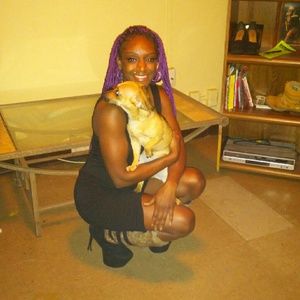 Meet your Posher, Trakia