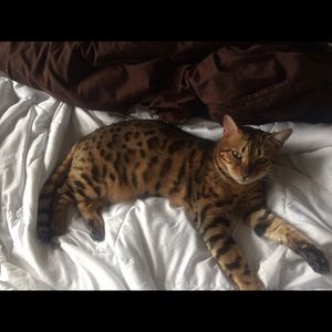 Meet your Posher, Angela