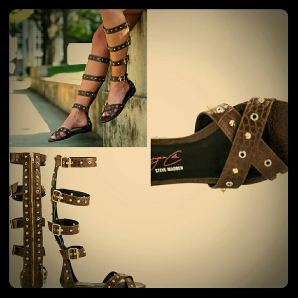 Keisha Cole for Steve Madden, Brown Croc Gladiator