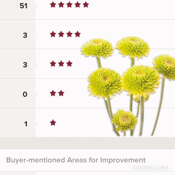 Top Rated Seller 😊🌺 sweetest comments & reviews