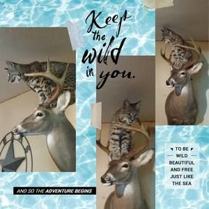 Meet your Posher, Cheryl