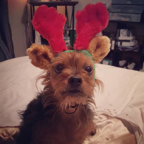 Meet your Posher, Maria