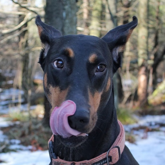 Meet your Posher, Eamonn