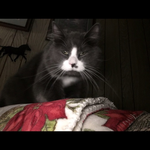 Meet your Posher, Sharon - Picture 1 of 1