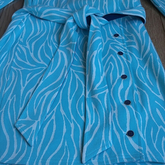 Lilly Pulitzer Aqua Zebra Dress - Picture 4 of 8