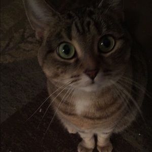 Meet your Posher, Mckenna