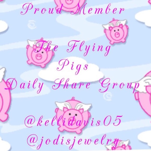 Flying Pigs Dailey Share Group