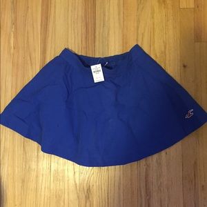 Hollister Circle Skirt