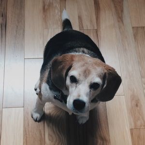 Meet your Posher, Jamie