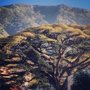 Meet your Posher, Cristina