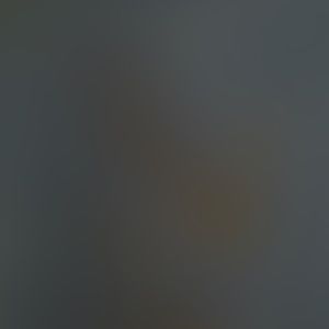 Meet your Posher, Giavana