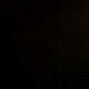 Meet your Posher, Tonnette